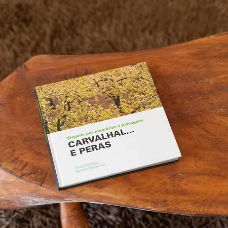 Hébergement de vacances Casa São José